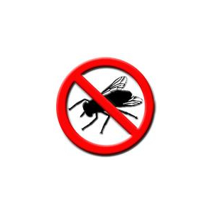 Stechmücken/Fliegen