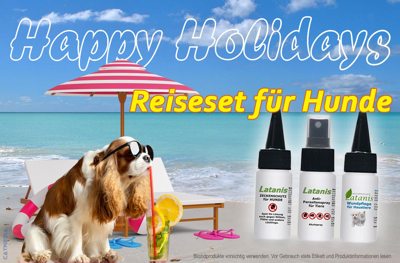 Happy Holidays - Reiseset für Hunde