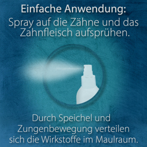 Zahnreinigungsspray Dental Care XP15vet/XP15Extra